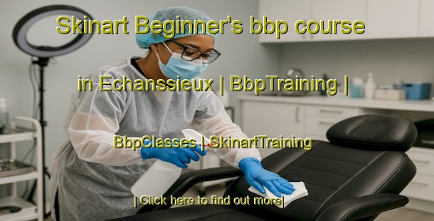 Skinart Beginner's bbp course in Echanssieux | BbpTraining | BbpClasses | SkinartTraining-France
